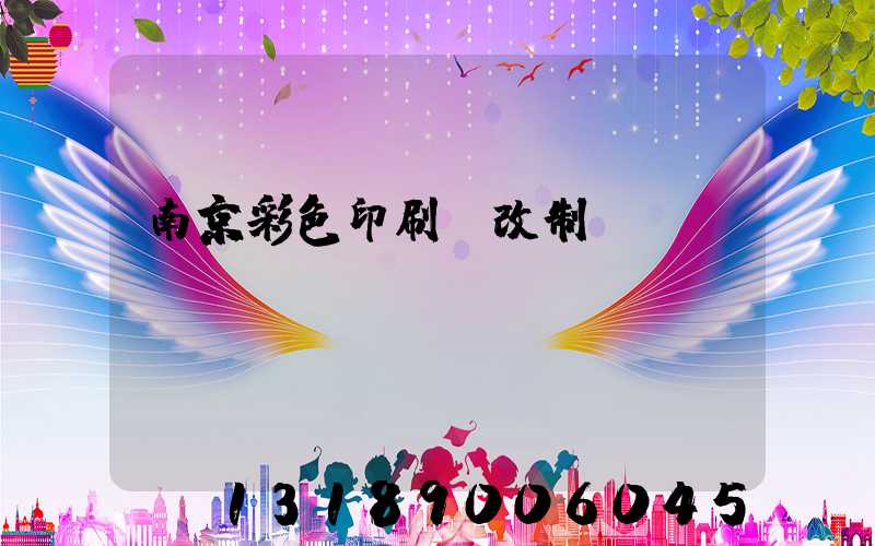 南京彩色印刷廠改制細(xì)節(jié)
