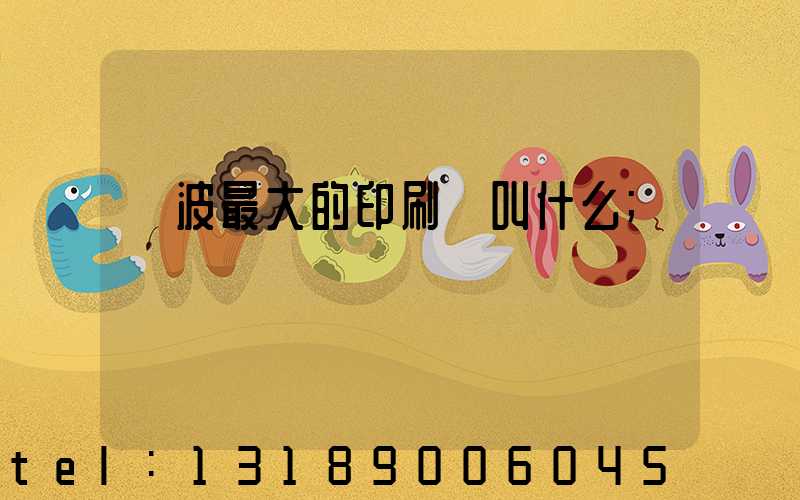 寧波最大的印刷廠叫什么