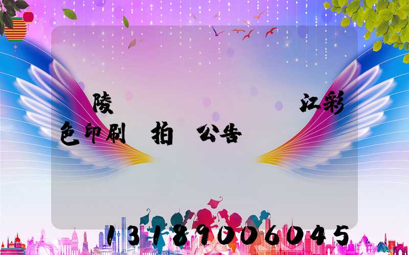 銅陵長(zhǎng)江彩色印刷廠拍賣公告